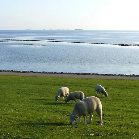 Friesenhaus Am Feriehus Dagebüll