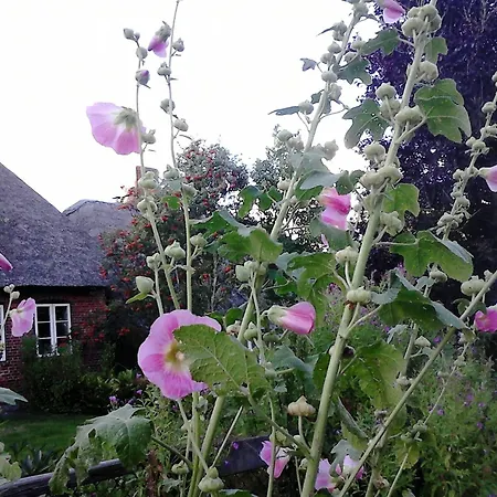 Holiday home Friesenhaus Am